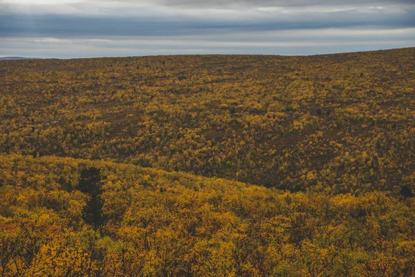 Живописный Вид Горы Осенние Леса Финнмарк Норвегия — стоковое фото