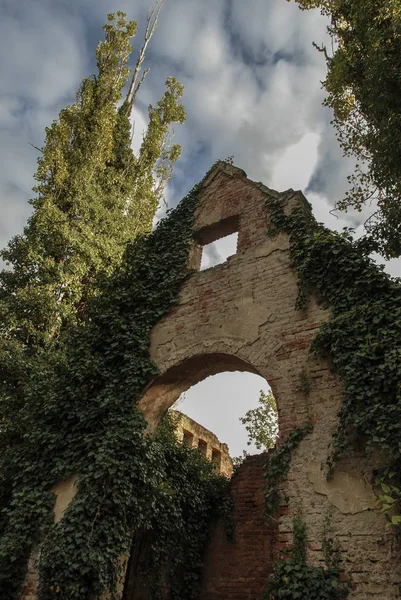 Ruines Chapelle Couverte Lierre Dans Cimetière Bohnice Prague — Photo