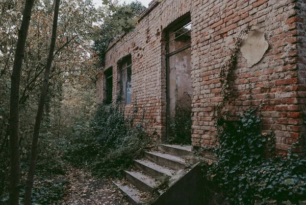 Ruinen Der Leichenhalle Bohnice Friedhof Urbex Prag — Stockfoto