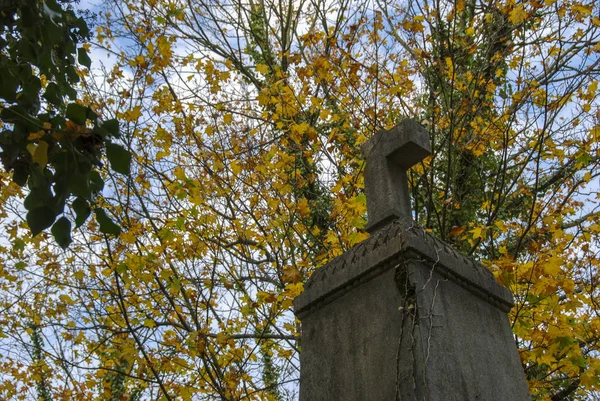 Bohnice公墓的十字架被砸碎的纪念碑 — 图库照片