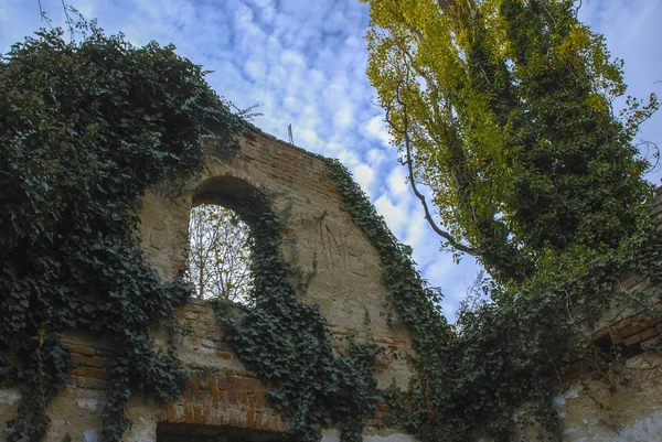 Ruines Chapelle Couverte Lierre Dans Cimetière Bohnice Prague — Photo