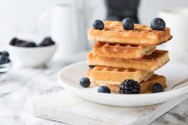 Beyaz bir plaka üzerinde dikdörtgen waffle yaban mersini mermer arka plan ile süslenmiş. kopya alanı