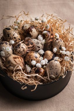 Paskalya Paskalya bıldırcın yumurtası ışık arka plan üzerinde yuvadaki bileşimi. Retro vintage tarzı. Yumuşak odak.
