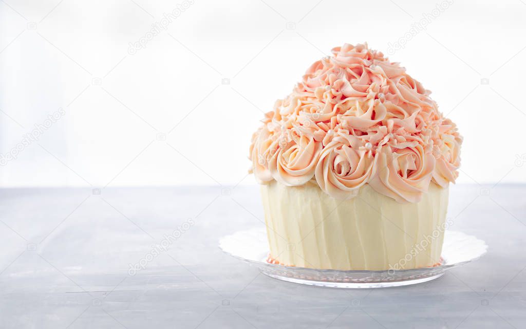 Delicious birthday cake cupcake on white Banner background with space for text. Celebration party background concept.