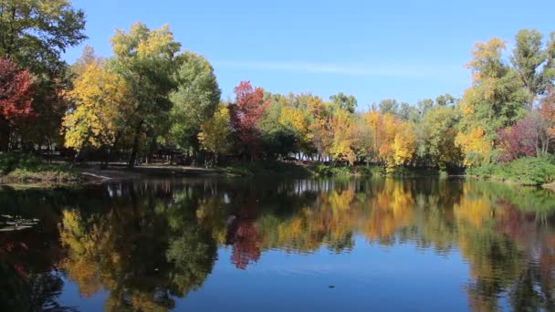 Herfst Landschap Kleurrijke Bomen Weerspiegeld Het Water Van Het Meer — Stockvideo