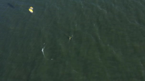 プロカイトサーファーは青と緑の海に乗っている 海のスポーツ 極端な 美しい海でカイトサーフィン 暗い日没の水 カイトサーフィン 箔への空中ビュー 海の近くの自由の生活 幸福を祈れ — ストック動画