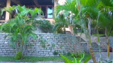 Sahilden oteldeki sazdan çatıları olan yüzme havuzuna gün batımında cennette tropikal bir eko evi. Hayallerinin tatili. Mavi havuzun yanındaki orman bahçesi. Taş merdivenler. Havuza giriyor. Sen git.