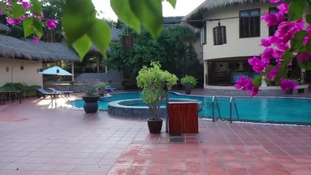 宾馆里的游泳池有茅草屋顶 日落时在天堂里的热带房子 你的梦想的假期 阳光正透过这棵树照耀着 蓝色游泳池附近的热带花园 美丽的粉红色花朵 — 图库视频影像