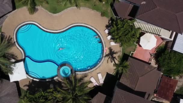 Blick Von Oben Auf Das Schwimmtraining Schwimmbad Tropischer Natur Palmen — Stockvideo