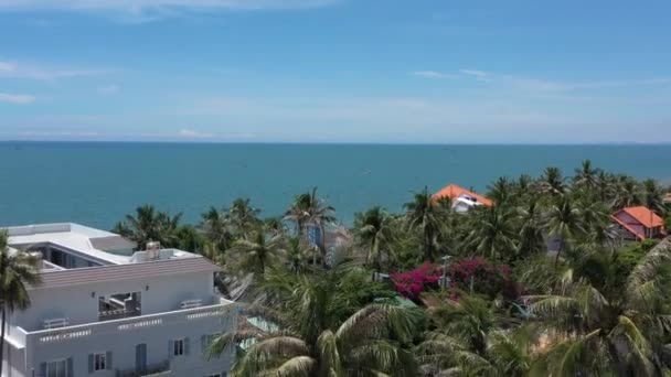 Überall Palmen Sommer Schöne Luftaufnahme Blaues Meer Und Tropische Bäume — Stockvideo