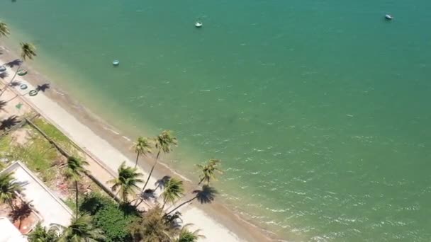 Plaża Kokosów Białym Piaskiem Błękitnym Oceanem Słoneczny Dzień Jasne Słońce — Wideo stockowe