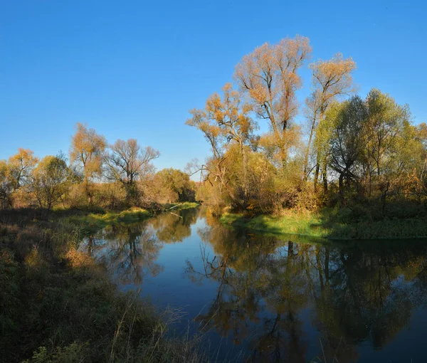 Natureza Russa Outono Margens Rio Istra Região Moscovo Rússia Vista — Fotografia de Stock