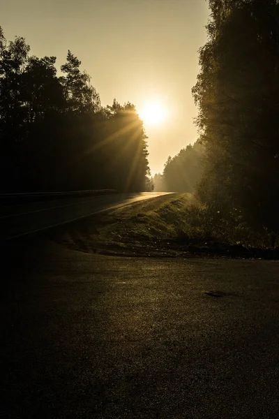 Russian Nature - Morning sun over the forest highway, somewhere in Russia