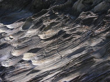 Doğa, portre, gri dokulu 3B yüzeyler 1 görüntüler