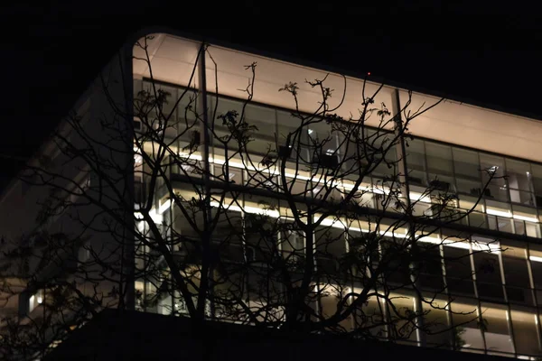 Illuminated Facade Modern Building Night — Stock Photo, Image