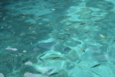 Mavi deniz suyunun dokusu