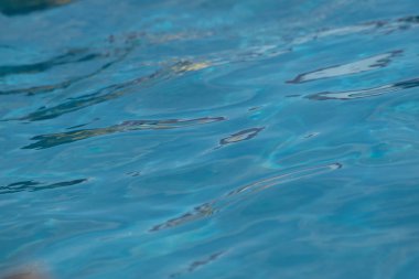 Yüzme havuzunun temiz suyu