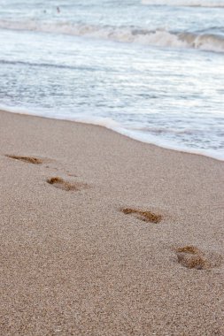 deniz kıyısı, kumdaki