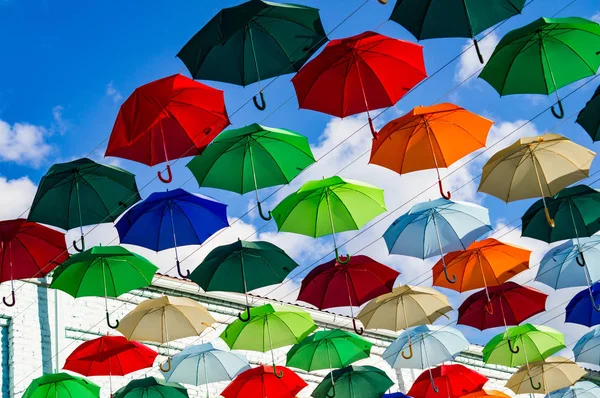 우산의 — 스톡 사진