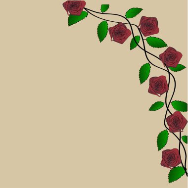 gül yaprakları üzerinde hafif bir arka plan ile kamçı