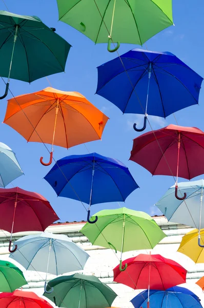 Festivali renkli şemsiye