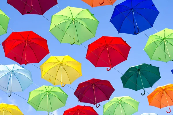 mavi, beyaz, kırmızı, sarı şemsiye