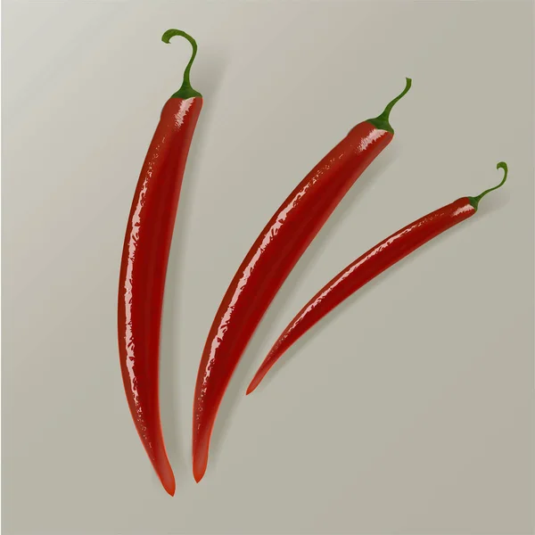 Red Hot Natural Pepper Pod Bild Freien Stil Des Autors — Stockvektor