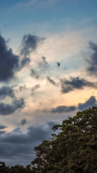 Глобус Вертолетом Плывущим Небо Черно Белом Цвете — стоковое фото