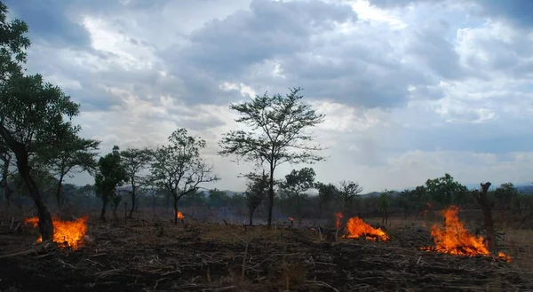 Les Feux Forêt Benishangul Gumuz Ethiopie Afin Défricher Terre Obtenir — Photo