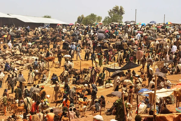 Lalibela, Etiyopya, 13 Haziran 2009: Pazar sahne, kimliği belirsiz kişi ticaret