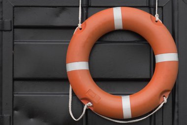 Estonya'da bir plajda bir kurtarma İstasyonu duvara asılı turuncu lifebuoy