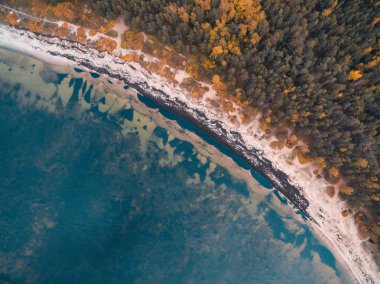 En iyi hava dron görünümü güzel vahşi Beach Meremoisa bitki örtüsü, Estonya'daki Baltık Denizi'nin kıyısında dolu