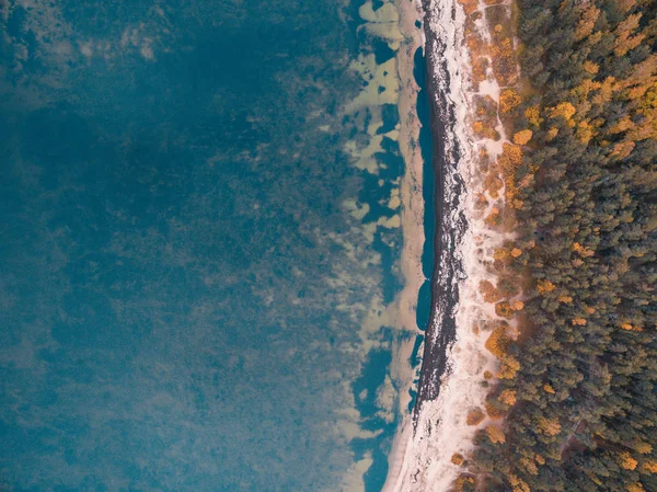 Top Aerial Drone View Beautiful Wild Beach Meremoisa Full Vegetation — Stock Photo, Image