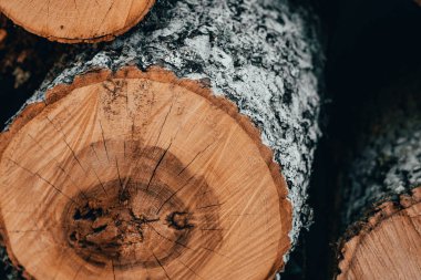 Ahşap doğal orman günlüklerinde kesmek