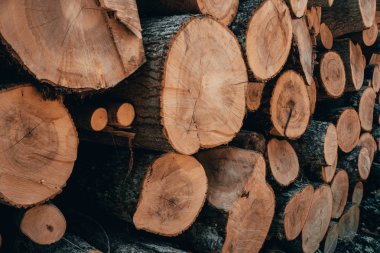 Ahşap doğal orman günlüklerinde kesmek