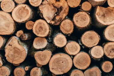 Ahşap doğal orman günlüklerinde kesmek