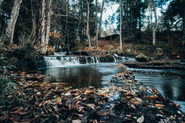 Estonya sonbahar günü içinde orman nehir rapids