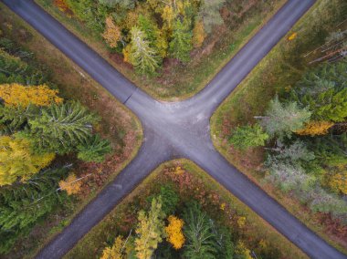 Yol kesme yoluyla, kavşak ile sonbaharda kalın ormanın havadan görünümü