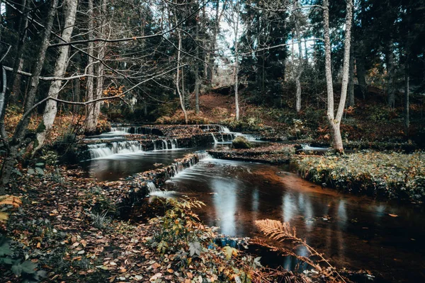 Floresta Rio Corredeiras Dia Outono Estônia — Fotografia de Stock