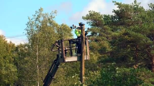 Elektrycznych Pracownika Bezpieczeństwa Kombinezon Kask Naprawia Problem Linii Zasilania Lesie — Wideo stockowe