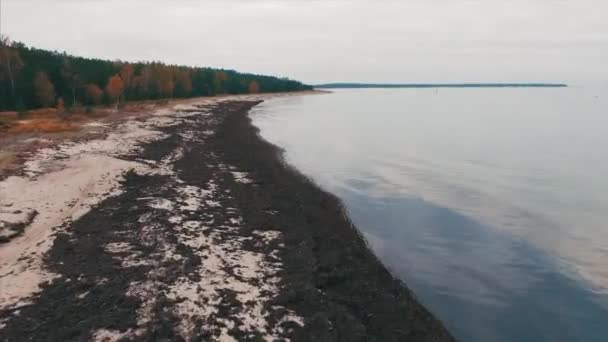 Drone Görüntüleri Baltık Denizi Kıyısında Bir Bulutlu Sonbahar Günü Yeşil — Stok video