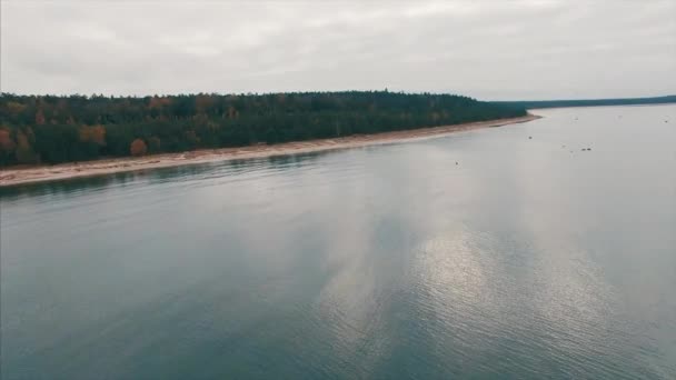 Drone Materiału Wybrzeże Morza Bałtyckiego Pochmurny Dzień Jesień Zielonych Sosen — Wideo stockowe