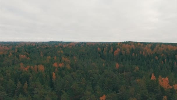 Images Drones Côte Mer Baltique Par Une Journée Automne Nuageuse — Video