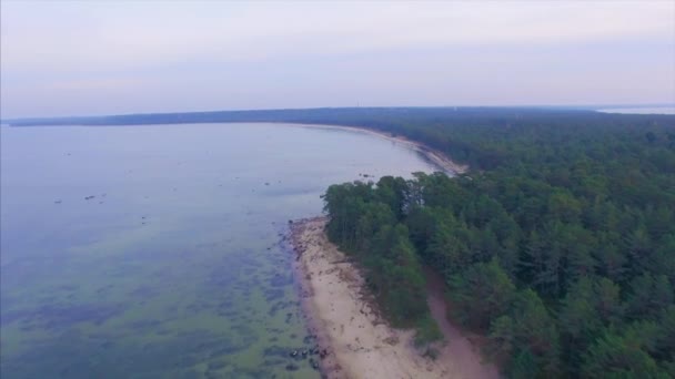 空中の平面図です 緑の松 エストニア ハリュの背景と曇った秋の日にバルト海の海岸の Lohusalu — ストック動画