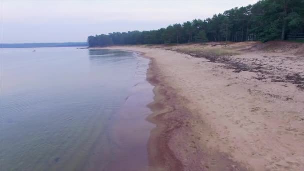 Vue aérienne du dessus. Baie de Lohusalu sur la côte de la mer Baltique par une journée d'automne nuageuse avec une toile de fond de pins verts, Estonie, Harjumaa 