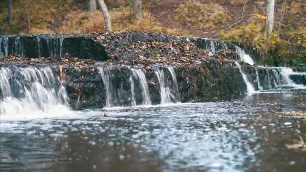 Beautiful River Rapids Warm Autumn Day Estonia — Stock Video