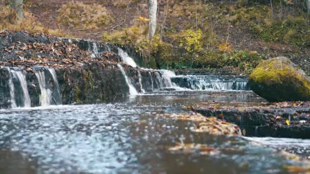 エストニアの暖かい秋の日の美しい川の急流 — ストック動画