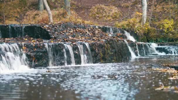 Gyönyörű River Rapids Meleg Őszi Napon Észtország — Stock videók