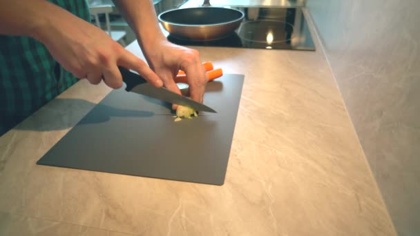 Pai Uma Camisa Xadrez Está Cozinhando Jantar Orgânico Fresco Para — Vídeo de Stock
