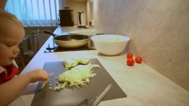 Baba çizgili gömlekli kokteyl domates ve Çin lahanası taze organik sebze salatası onun çocuklar için için yerli ev mutfakta yemek yapıyor.